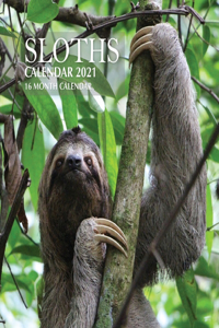 Sloths Calendar 2021