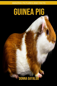 Guinea pig
