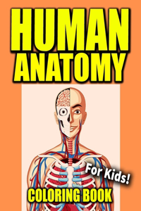 Human Anatomy Coloring Book For Kids