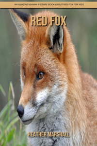 Red Fox