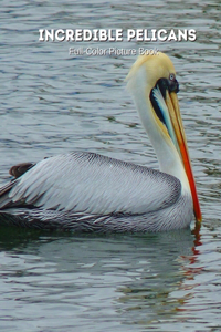 Incredible Pelicans Full-Color Picture Book