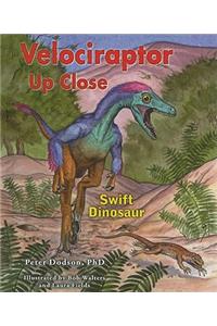Velociraptor Up Close