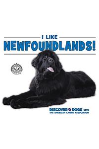 I Like Newfoundlands!