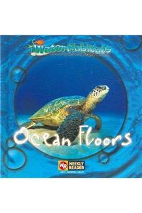 Ocean Floors / Fondos Oceánicos