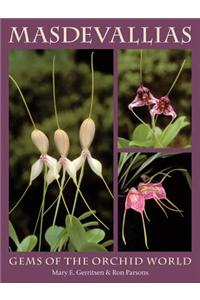 Masdevallias: Gems of the Orchid World