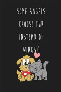 Some Angels Choose Fur Instead Of Wings!!