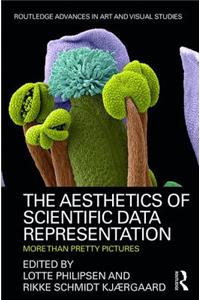 The Aesthetics of Scientific Data Representation