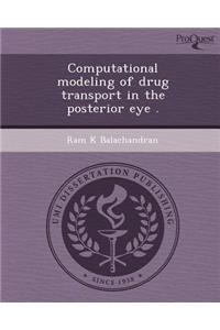 Computational Modeling of Drug Transport in the Posterior Eye
