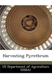 Harvesting Pyrethrum