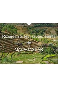 Rizieres Sur Les Hautes Terres De Madagascar 2018