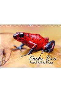 Costa Rica - Fascinating Frogs 2018
