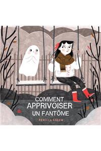 Comment Apprivoiser Un Fantôme