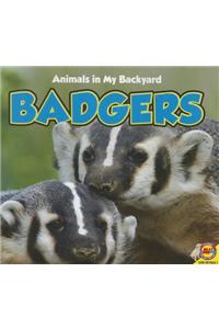Badgers
