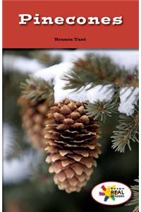 Pinecones