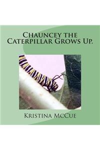Chauncey the Caterpillar Grows Up.