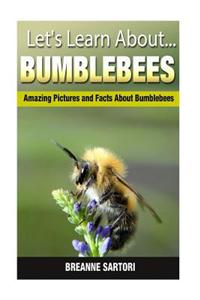 Bumblebees: Amazing Pictures and Facts about Bumblebees