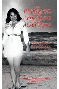 Los Pedazos de Mi Corazon En Un Alma Rota