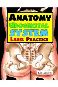 Anatomy Urogenital System Label Practice