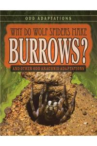 Why Do Wolf Spiders Make Burrows?