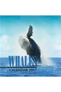Whales Calendar 2017