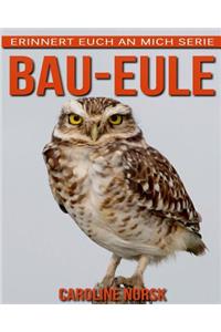 Bau-Eule