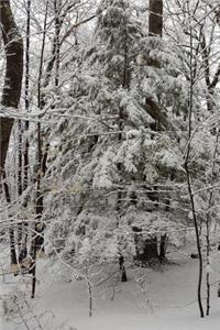 Journal Lovely Winter Photography