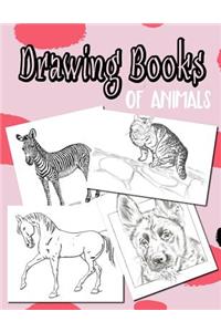 Drawing Books Of Animals: Blank Doodle Draw Sketch Book