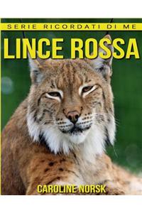 Lince rossa: Libro sui Lince rossa per Bambini con Foto Stupende & Storie Divertenti