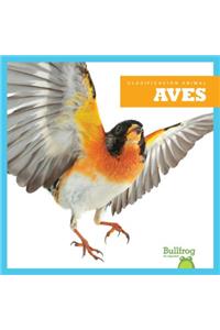 Aves (Birds)