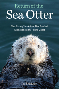 Return of the Sea Otter