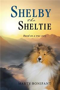 Shelby the Sheltie - 