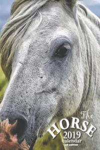 The Horse 2019 Calendar (UK Edition)