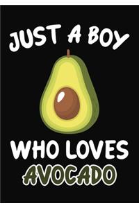 Just a Boy Who Loves Avocado