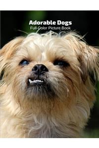 Adorable Dogs Full-Color Picture Book