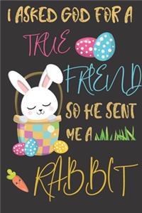 I asked god for a true friend so he sent me a Rabbit