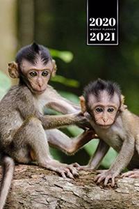 Monkey Ape Week Planner Weekly Organizer Calendar 2020 / 2021 - Two Little Friends