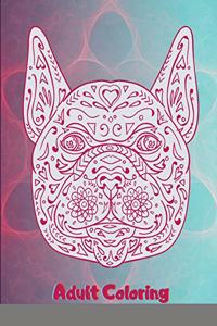 Adult Coloring