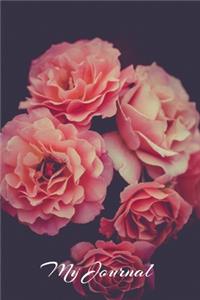 My Journal