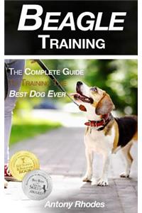 Beagle Training