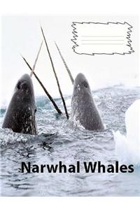 Narwhal Whales College Ruled Line Paper Composition Book
