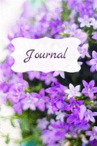 Journal