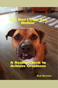 Life Don't Owe You Nothin': A Reality Check to Achieve Greatness