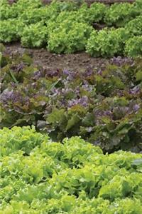 Gardening Log Book - The Home Gardeners Journal