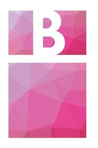B Initial Notebook