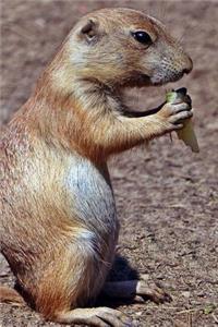 Prairie Dog Notebook