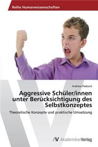 Aggressive Schüler/innen unter Berücksichtigung des Selbstkonzeptes