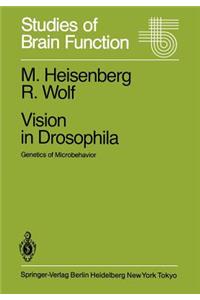 Vision in Drosophila