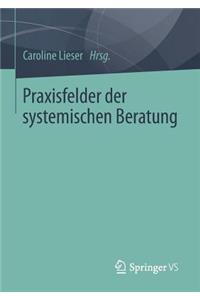 Praxisfelder Der Systemischen Beratung