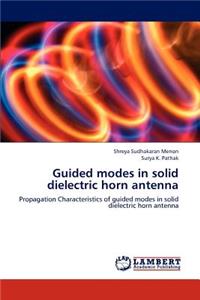 Guided Modes in Solid Dielectric Horn Antenna