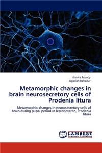 Metamorphic changes in brain neurosecretory cells of Prodenia litura